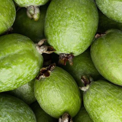 Close-up of a pile of whole green feijoas