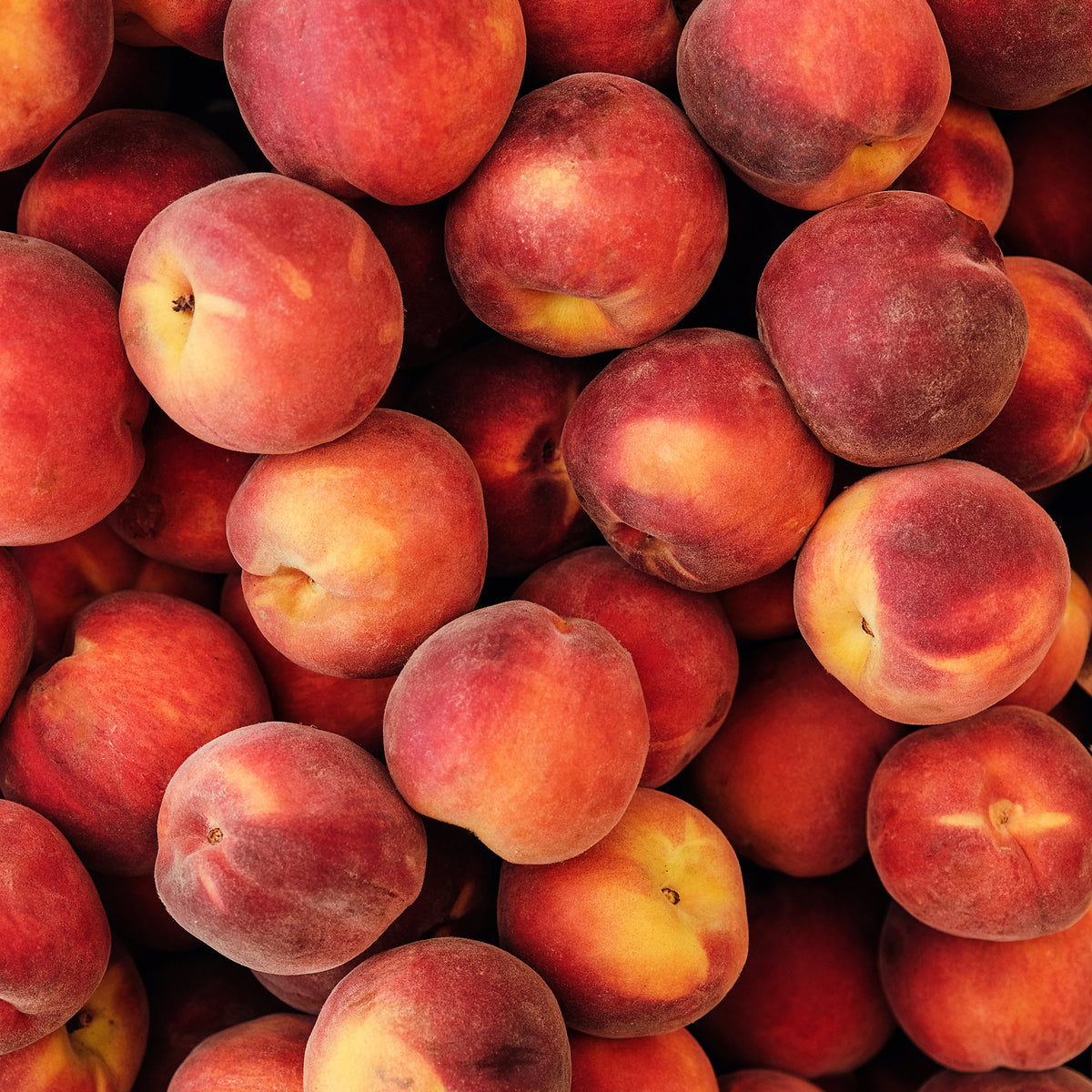 Close-up of a pile of ripe red and yellow peaches