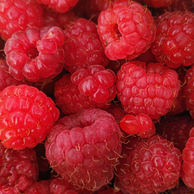 Close-up of a pile of fresh red raspberries